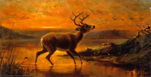 Ten Point Buck In Evening Twilight — Arthur Fitzwilliam Tait, Wildlife Painting