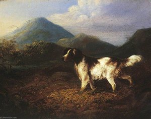 A Setter