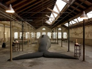 Les Funérailles De La Baleine — Claudia Losi