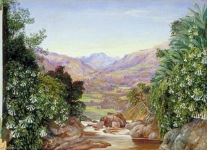 View From The Top Of The Waterfall At Ramboddy, Ceylon — Marianne North, Victorian Naturalism