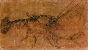 Un'astice — Albrecht Dürer, Rinascimento Nordico
