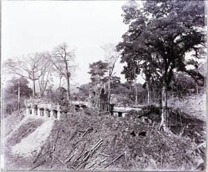 Photograph Of Palenque Taken By A.p. Maudslay — Alfred Percival Maudslay, Documentary Photography