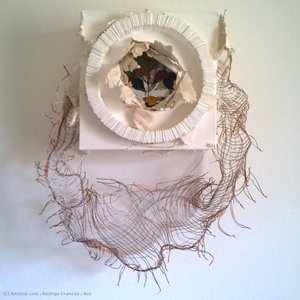Net — Rodrigo Franzão