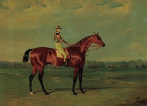 Memnon, A Bay Racehorse With William Scott Up In The Colours Of Richard Watt, On Doncaster Racecourse — John Frederick Herring Senior, 19th Century Realism