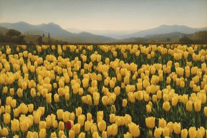 Luminescence Of Fields: A Solitary Bloom — Jacques Villedieu