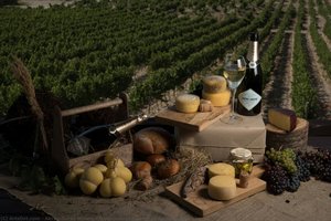 Gastronomic Palette Of Abrau-durso — Abrau-durso Winery
