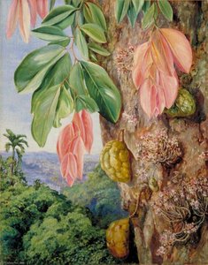 View In Singapore With Nyum Nyum Tree — Marianne North, Victorian Botanical Painting