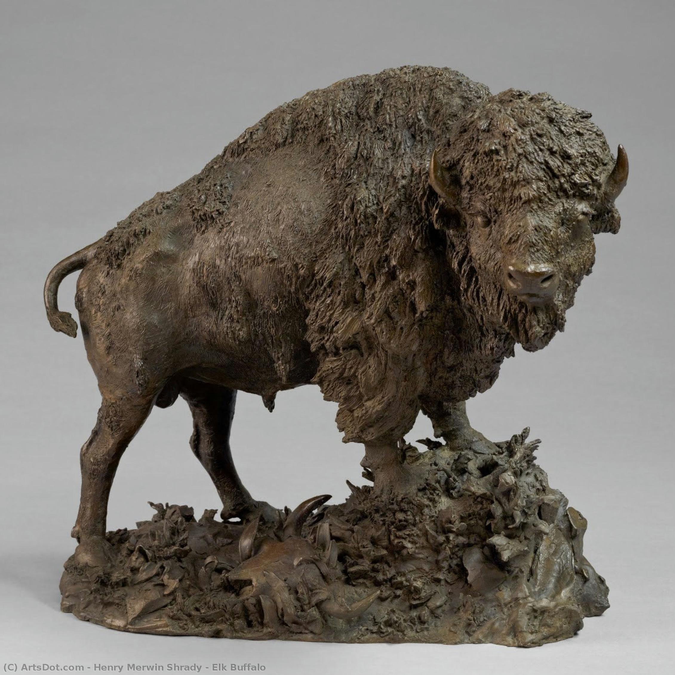 henry merwin shrady, Elk Buffalo