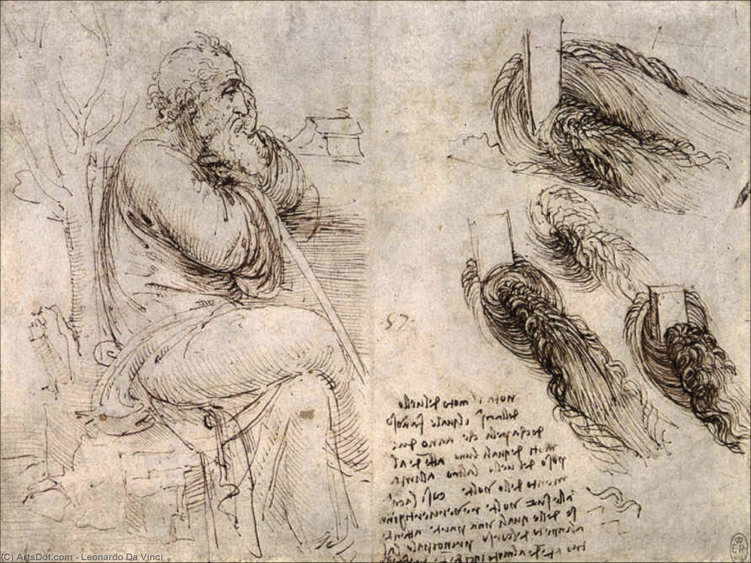 Študij Starca – Študij Vode — Leonardo Da Vinci