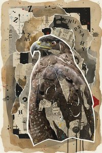 Anatomy Of An Instinct: The Avian Cipher