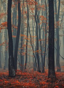 Sfumato Of The Autumnal Silence: A Singular Study In Verdant Decay