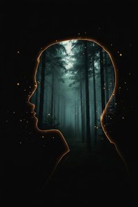 Echoes Of The Inner Wild: A Solitary Resonance