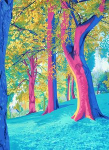 Olivier Renard