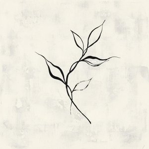 The Solitary Grace Of Calligraphic Ink Within An Eternal Monochrome Void