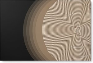 Convergence Of Shadow And Line: A Study In Curvilinear Progression Across Tonal Fields