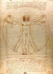 Vitruvian Man — Leonardo Da Vinci