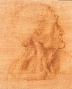 Viimsesöömaa Ettevalmistus — Leonardo Da Vinci