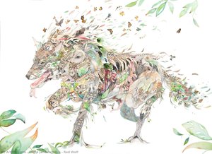 Red Wolf — Laura Jane Ballance