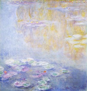 Water-lilies (22)