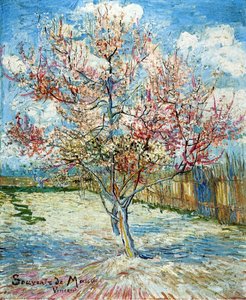 Peach Trees In Blossom — Vincent Willem Van Gogh