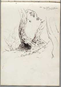 Olive Trees, Tivoli — Thomas Cole