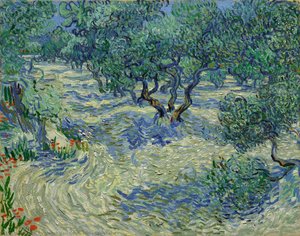 Olive Orchard — Vincent Van Gogh