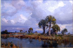 Florida Skies Over The Everglades — Emile Albert Gruppé