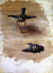 Studies Of A Dead Bird — John Singer Sargent