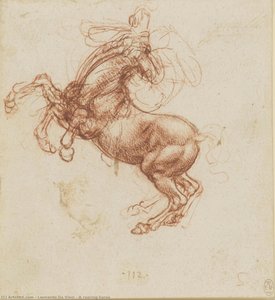 A Rearing Horse