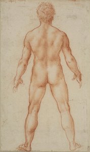 A Standing Male Nude — Leonardo Da Vinci