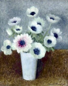 Anemones