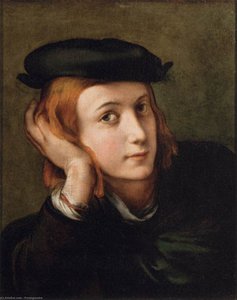 Portrait Of A Youth — Parmigianino