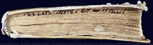 Hecatommithi. Overo Cento Novelle Di M. Giovanbattista Giraldi Cinthio Nobile Ferrarese: Nelle Quali, Oltre Le Dilettevoli Materie, Si Conoscono Moralità Utilissime A Gli Huomini Per Il Ben Vivere; & Per Destare Altresì L — Giovanni Battista Giraldi