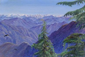 From Nahl Dehra Near Simla (shimla), Himachal Pradesh, India — Marianne North