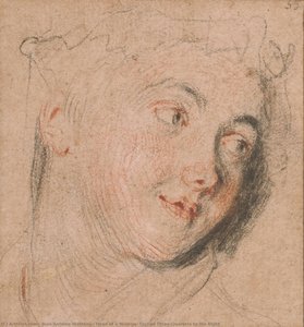 Head Of A Woman, Turned Three-quarters To The Right