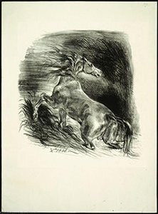 Wild Horse Coming Out Of The Water. Cheval Sauvage — Eugène Delacroix