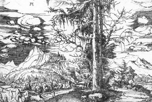 Landscape — Albrecht Altdorfer