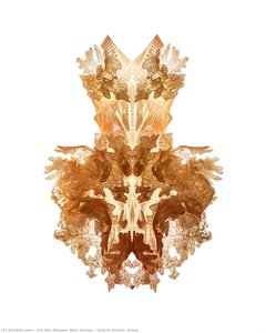 iris van herpen, neri oxman