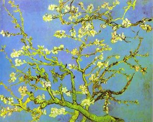 Branches Of Almond Tree In Bloom. Saint-rémy — Vincent Willem Van Gogh
