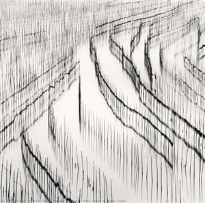 Seaweed Farms, Study 3, Xiapu, China — Μichael Francis Kenna
