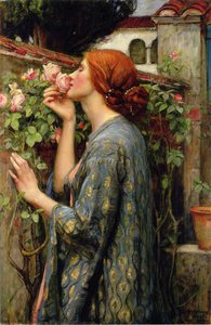 My Sweet Rose — Jan William Waterhouse