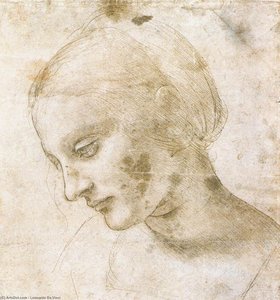 Study Of A Woman's Head — Leonardo Da Vinci