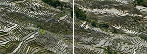 Rice Terraces #3a & #3b — Edward Nicholas Burtynsky