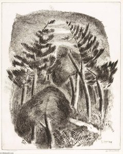The Forest — George Constant