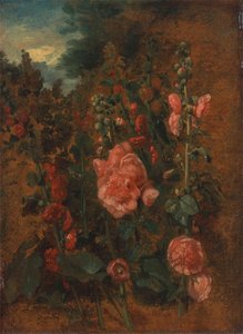 Study Of Hollyhocks — John Constable