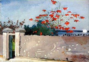 A Wall, Nassau — Winslow Homer