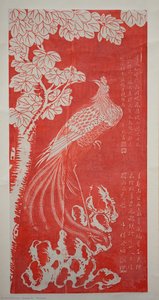 kuang xü