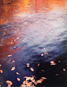 Pool In A Brook, Pond Brook, New Hampshire, October 4, 1953 — Eliot Porter