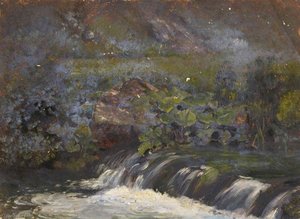 Waterfall With Leaves — Thomas Stuart Smith