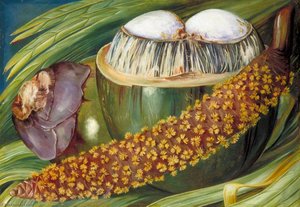 Male Inflorescence And Ripe Nuts Of The Coco De Mer, Seychelles — Marianne North